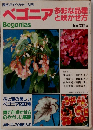 園芸ガイド・カラー入門  ベゴニア 