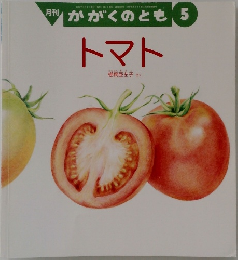 かがくのとも 5  トマト