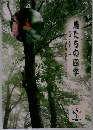 鳥たちの四季