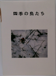 四季の鳥たち