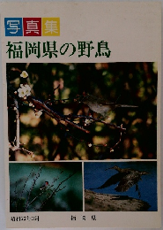 福岡県の野鳥　福岡県