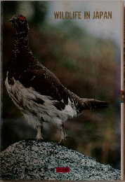 WILDLIFE　IN　JAPAN