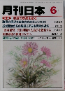月刊日本 6　混迷の政局を斬る