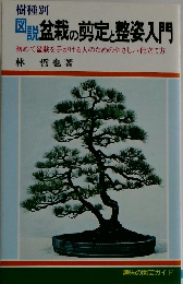 樹種別  図説盆栽の剪定と整姿入門  初めて盆栽を手がける人のためのやさしい仕立て方