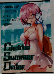 Chaldea  Summer  Order