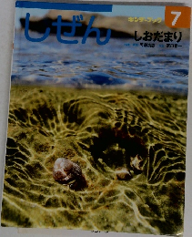 しぜん　7　しおだまり