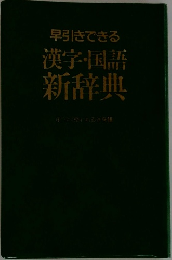 早引きできる漢字国語新辞典