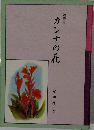 随筆集  カンナの花