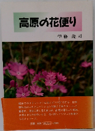 高原の花便り