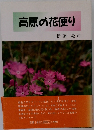 高原の花便り