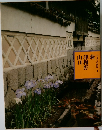 ふるさとの旅路 4
