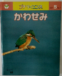 プチサイエンス　1981年5月号 No.2　かわせみ
