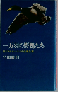 一万羽の野鴨たち　日本アイ ビー エムの企業生態