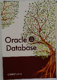 Oracle Database