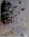 asca　SEASONS　no.243