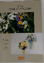 2022  BRAND CATALOGUE