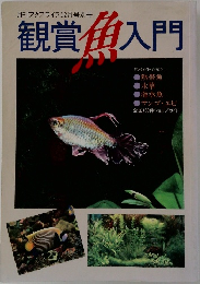 月刊アクアライフ12月号別冊 観賞魚入門