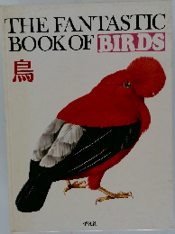 THE FANTASTIC BOOK OF BIRDS　鳥　