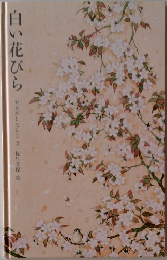 白い花びら