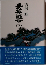 長英逃亡　下