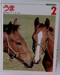しぜんのせかい  2　うま