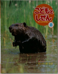 こどもとしぜん　8