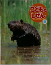 こどもとしぜん　8