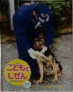 こどもとしぜん　11