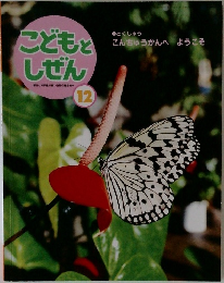 こどもとしぜん　12