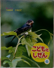 こどもとしぜん 6