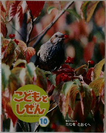 こどもとしぜん　10