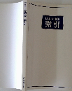 日本大地図　索引