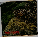 富山の動物