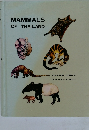 MAMMALS  OF THAILAND