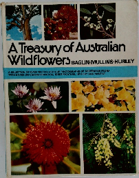 A Treasury of Australian  Wildflowers