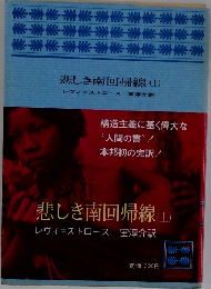 悲しき南回帰線(上)