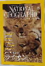 NATIONAL GEOGRAPHIC「ナショナル ジオグラフィック」日本版 アジア最後のライオン 2001年6月号