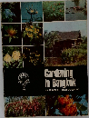 Gardening in Bangkok