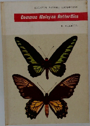 Common Malayan Butterflies