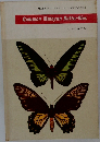 Common Malayan Butterflies