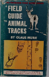 A FIELD  GUIDE  TO  ANIMAL  TRACKS