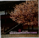 THE KYOTO　御所離宮