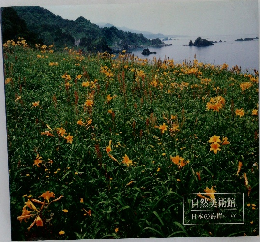 自然美術館　日本の海岸