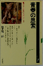 青春の思索