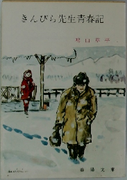 きんぴら先生青春記