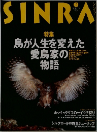 SINRA　1997年3月