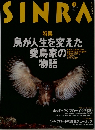 SINRA　1997年3月