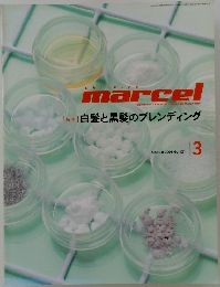 shinbiyo  marcel 2004 3