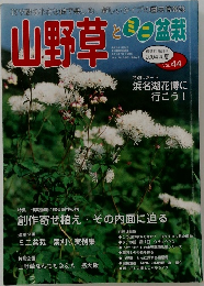 山野草とミニ盆栽　2004年初夏　Vol.44