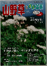 山野草とミニ盆栽　2004年初夏　Vol.44